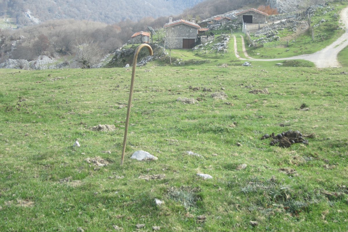 Túmulo Bolaleku  (Noviembre 2017)