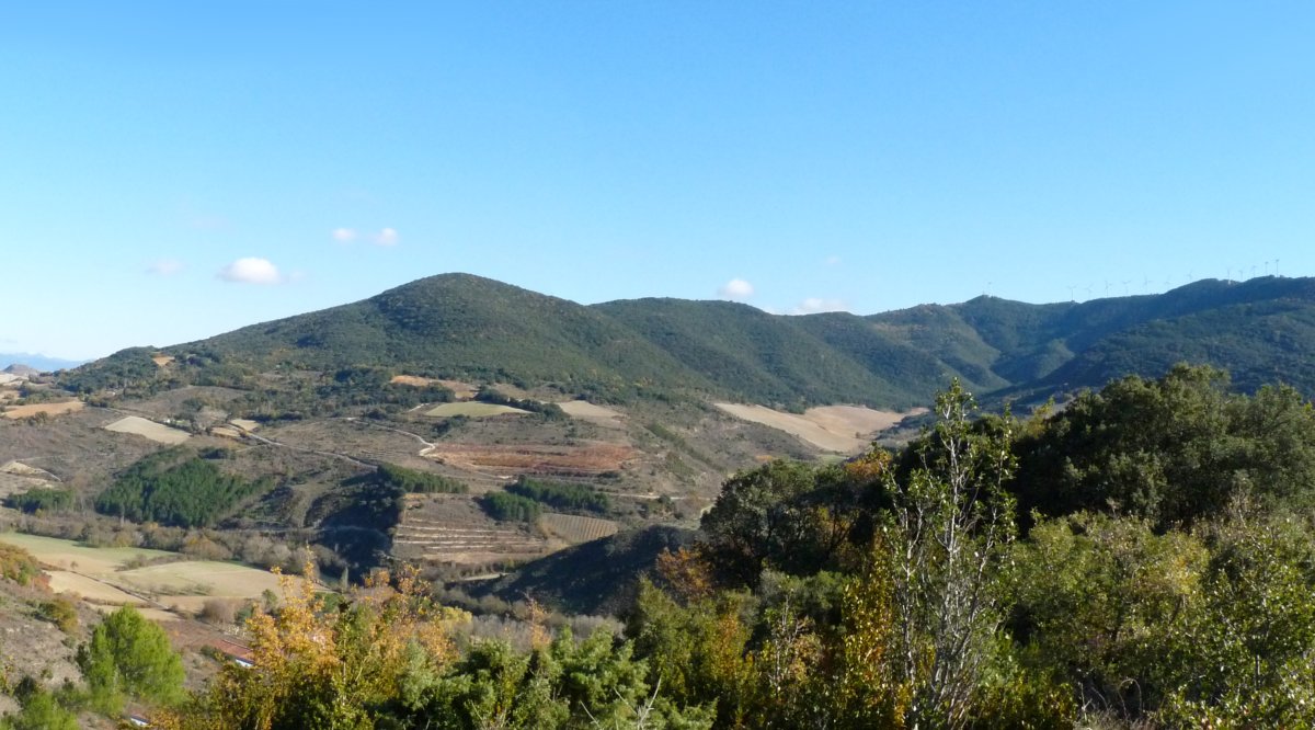 Zulozar Esparatz aldetik