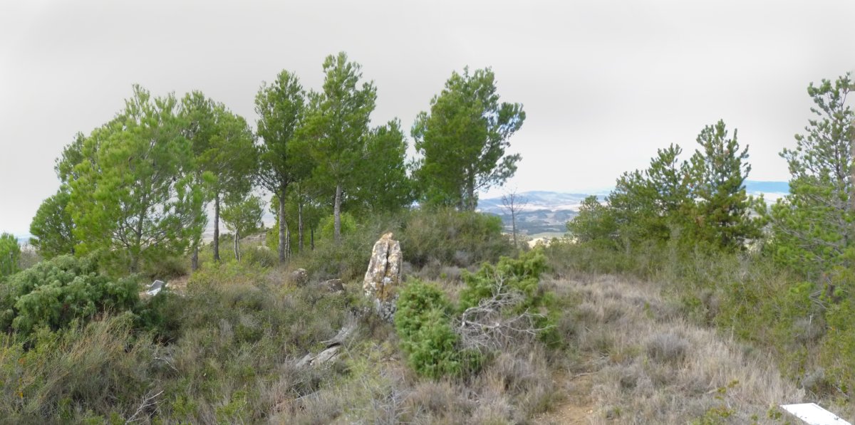 Gazteluzarko gailurra