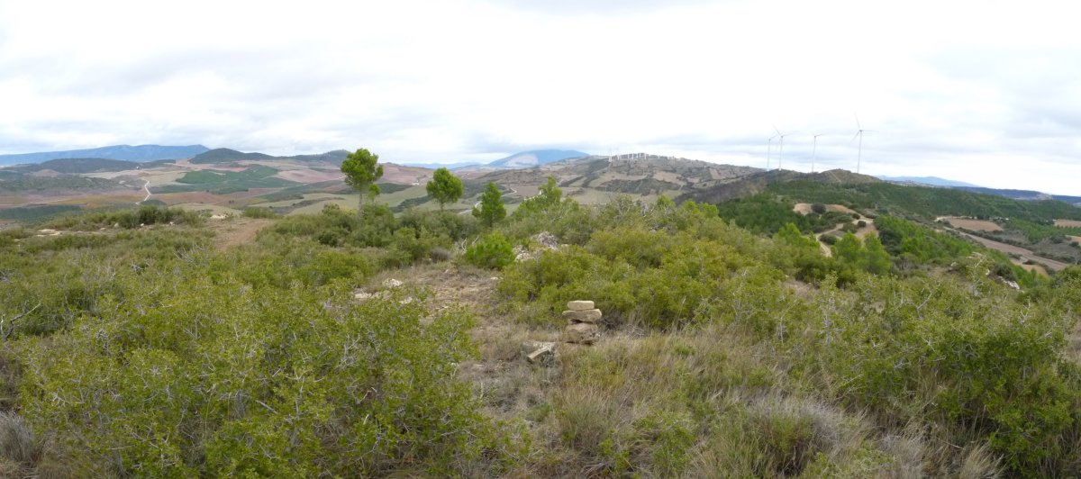 Larrabeltzeko gailurra