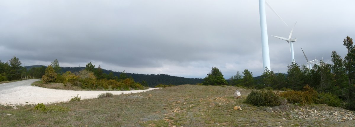 Aitzkibelgo gailurra