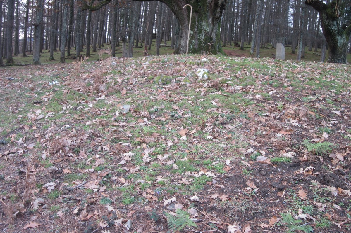 Túmulo Etxolla   (Noviembre 2017)