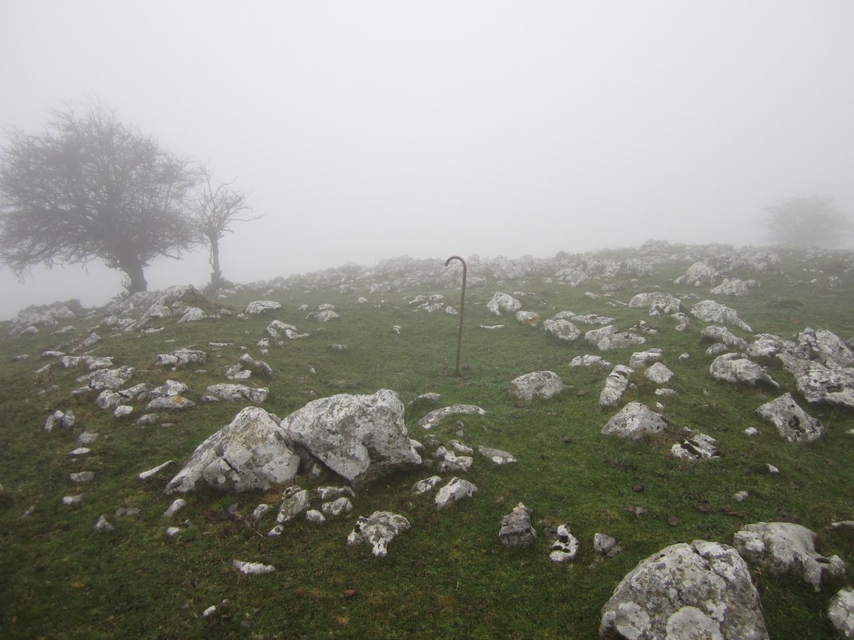 Túmulo Anular Igaratza Sur (Noviembre 2015)