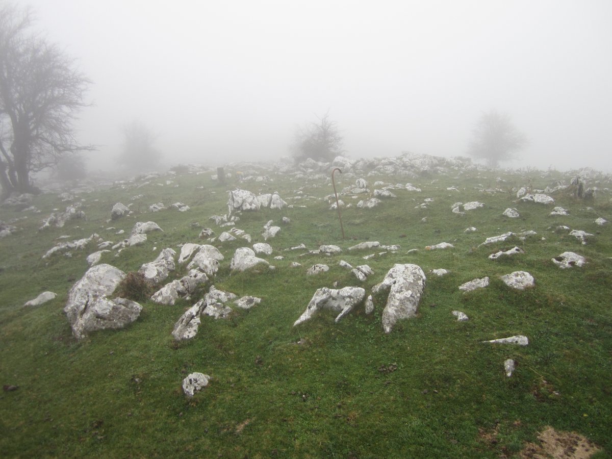 Túmulo Anular Igaratza Sur (Noviembre 2015)