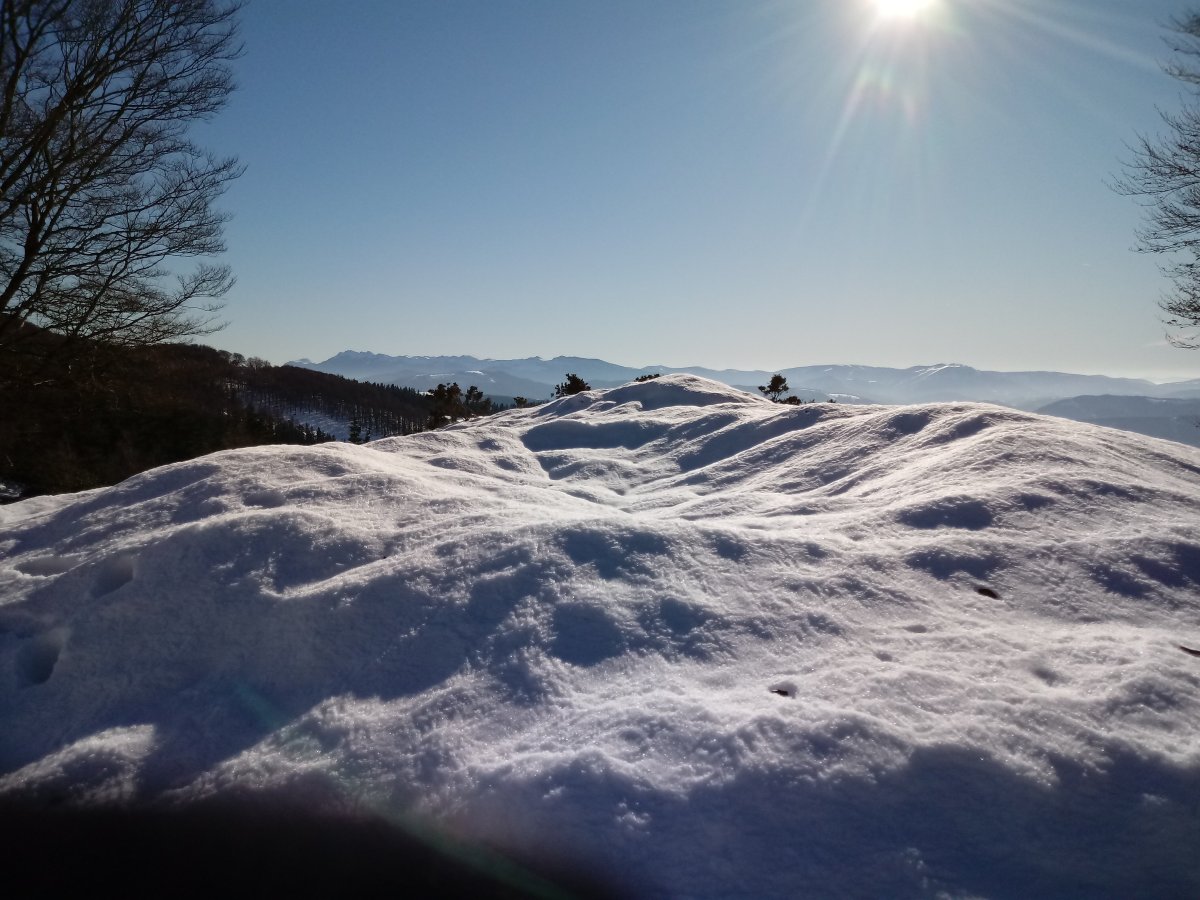 Pagobedeinkatua tumuloa 4