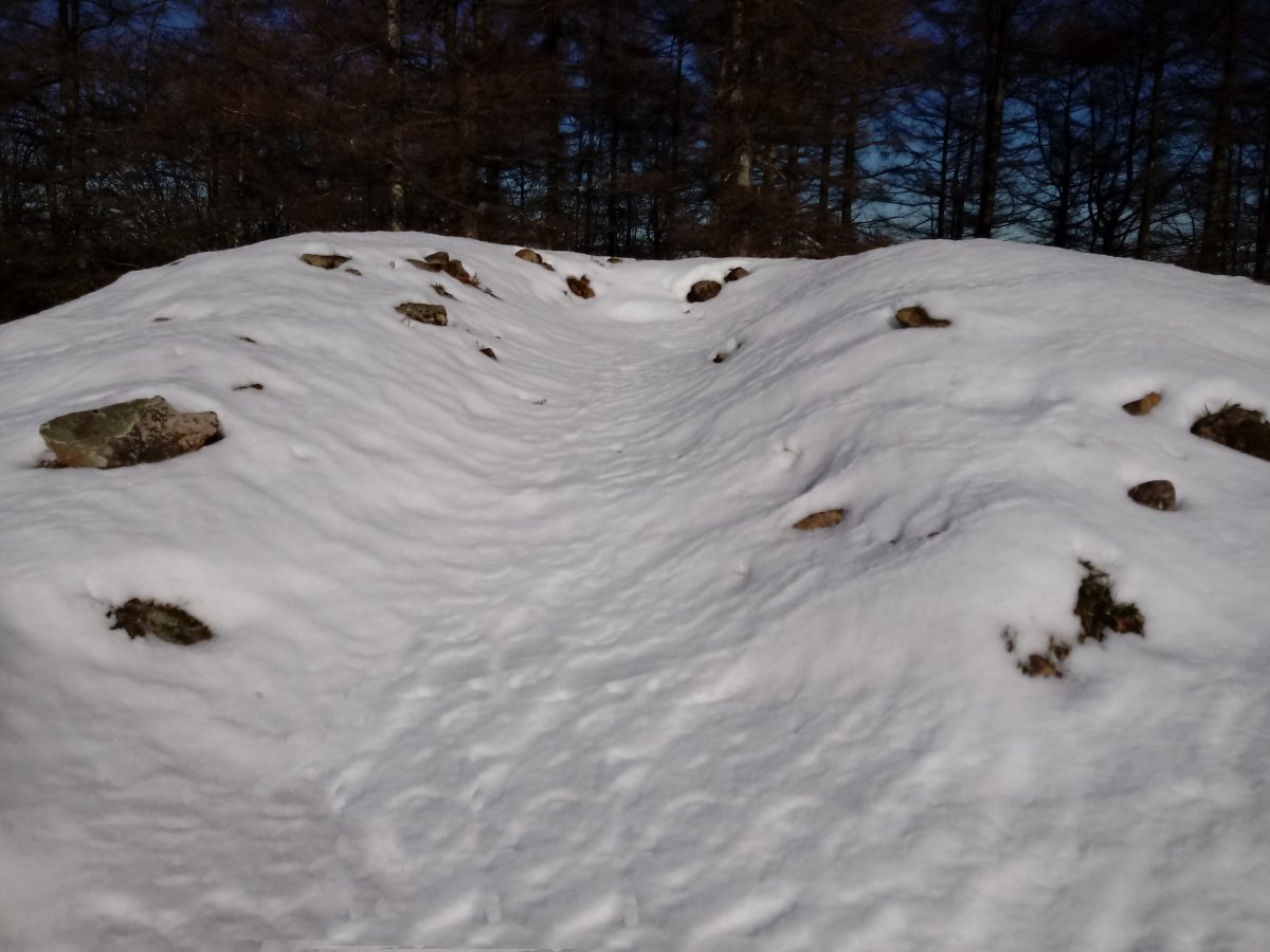 Naasiko Goena tumuloa 2