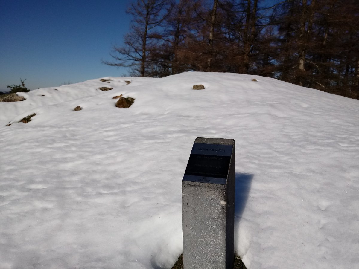 Naasiko Goena tumuloa (2017)