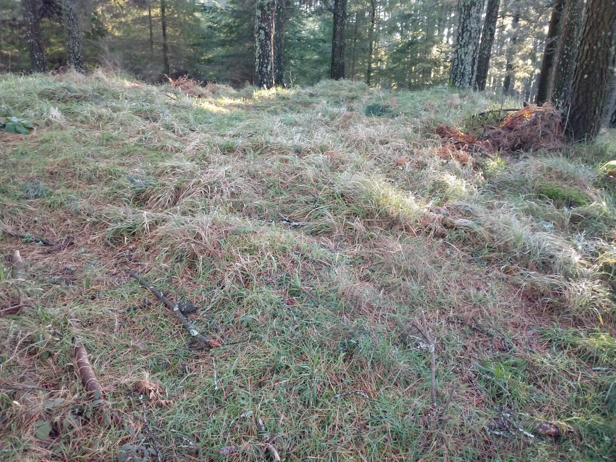 Kanpaizulo tumuloa 2