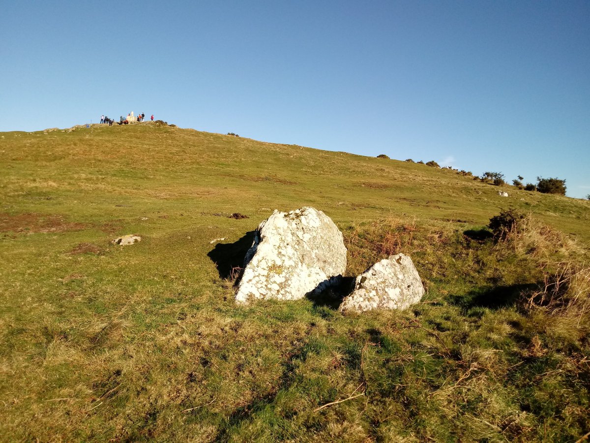 Kalamua II trikuharria 2