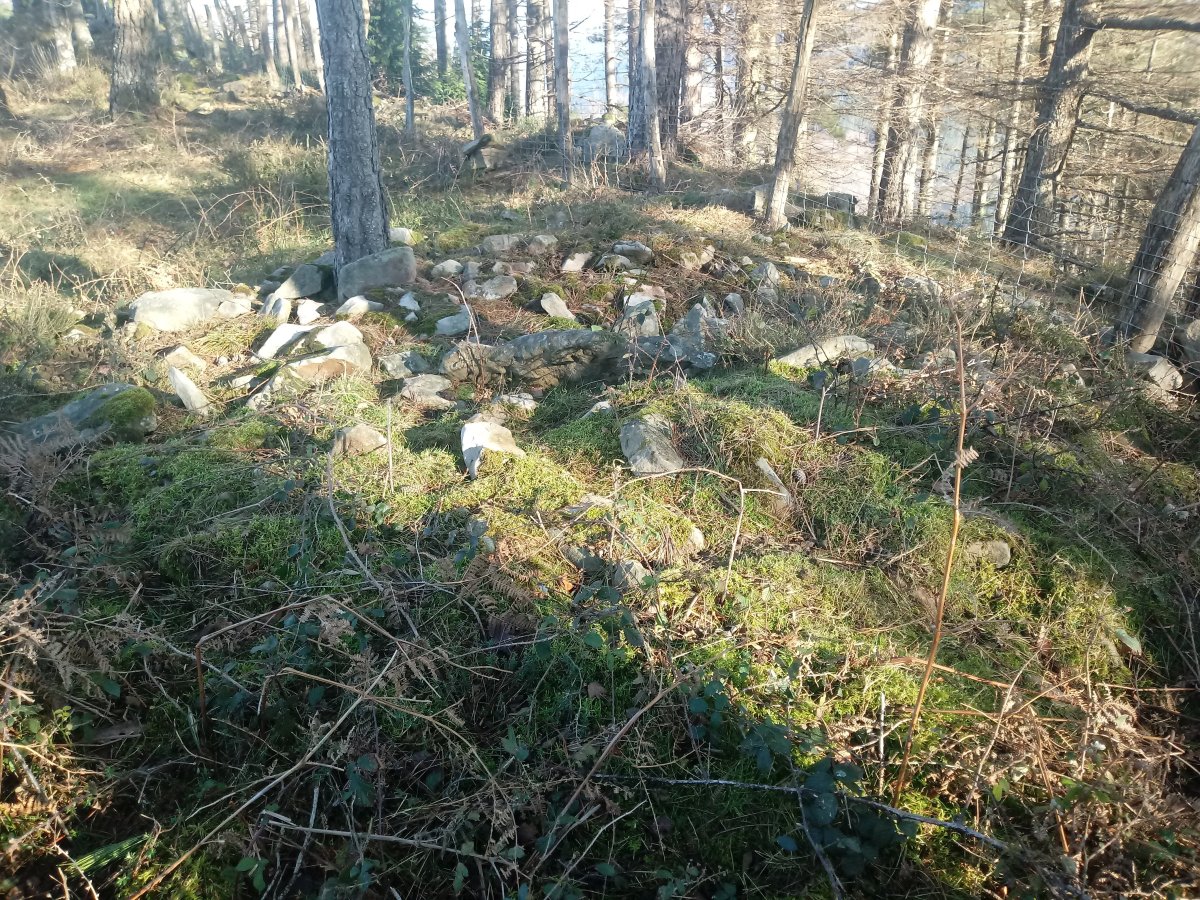 Amutxanda trikuharria 3