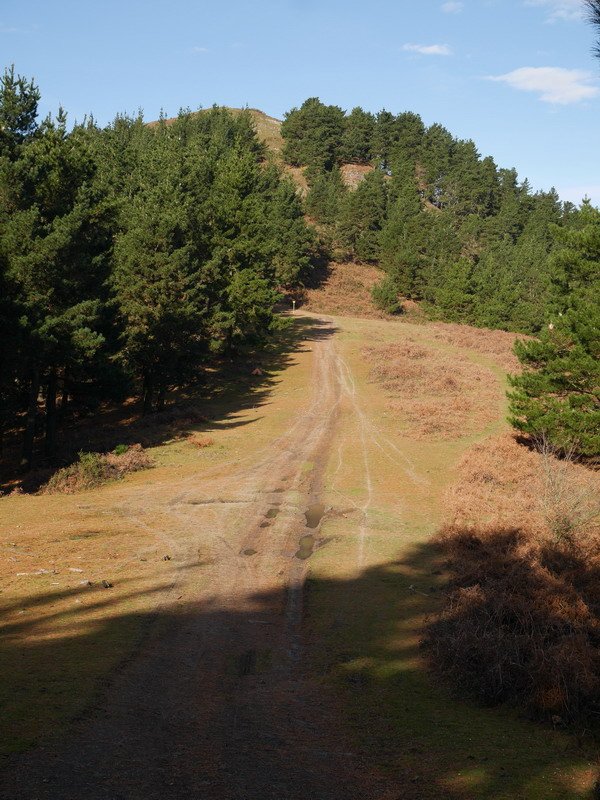 Hego-ekialdeko bizkarra