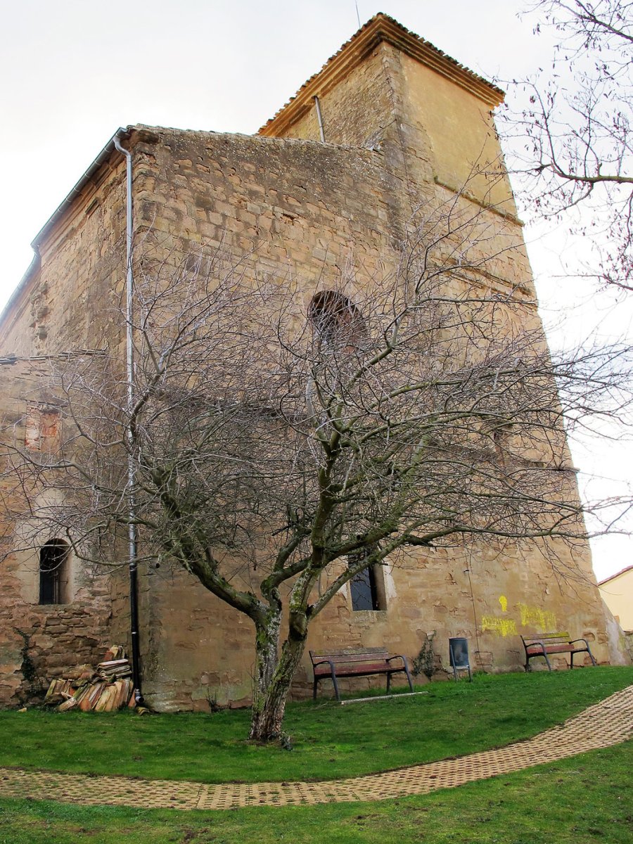 Asuncion eliza, Uterga