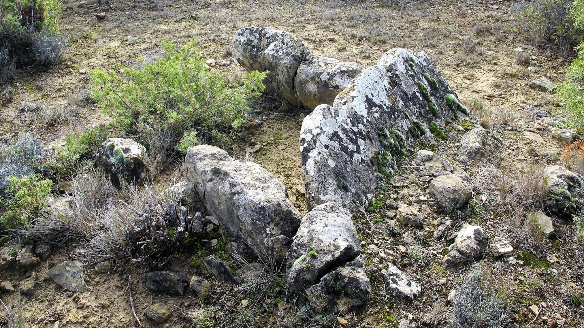 Andión 2 zisa, Mendigorra