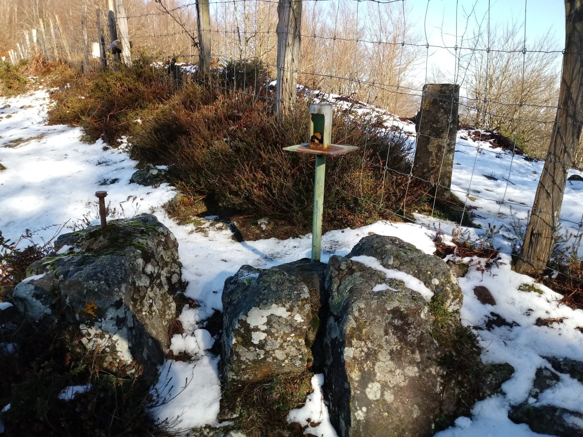 Balankaleku (985m) tontorra