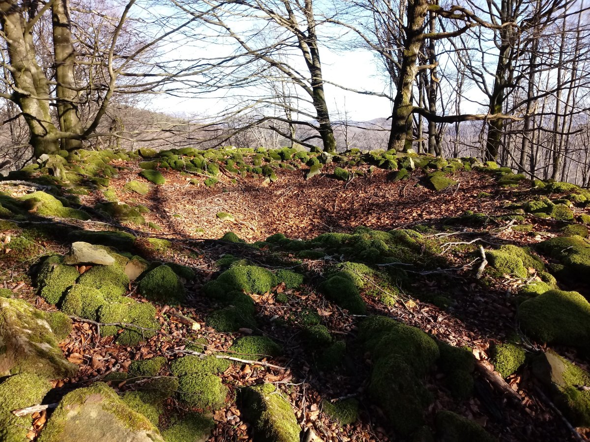 Balankaleku Iparra  trikuharria 2