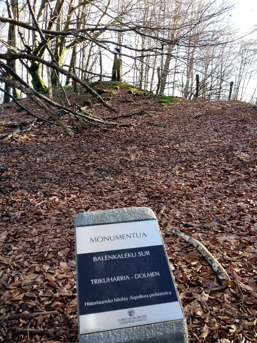 Balankaleku Hegoa trikuharria (2018)