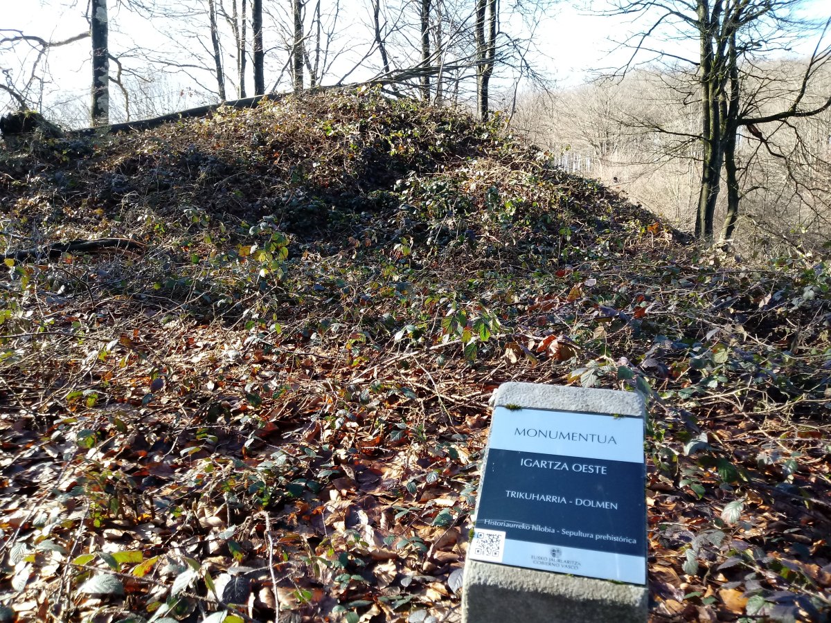 Igartza Mendebaldea trikuharria (2018)