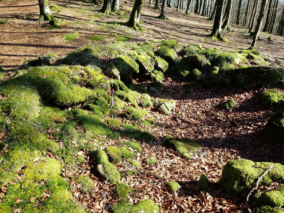 Portuzargaña 2 Mendebaldea trikuharria 2