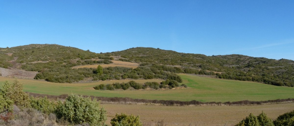 Santa Kruz gainak, mendebaldeko soroetatik 