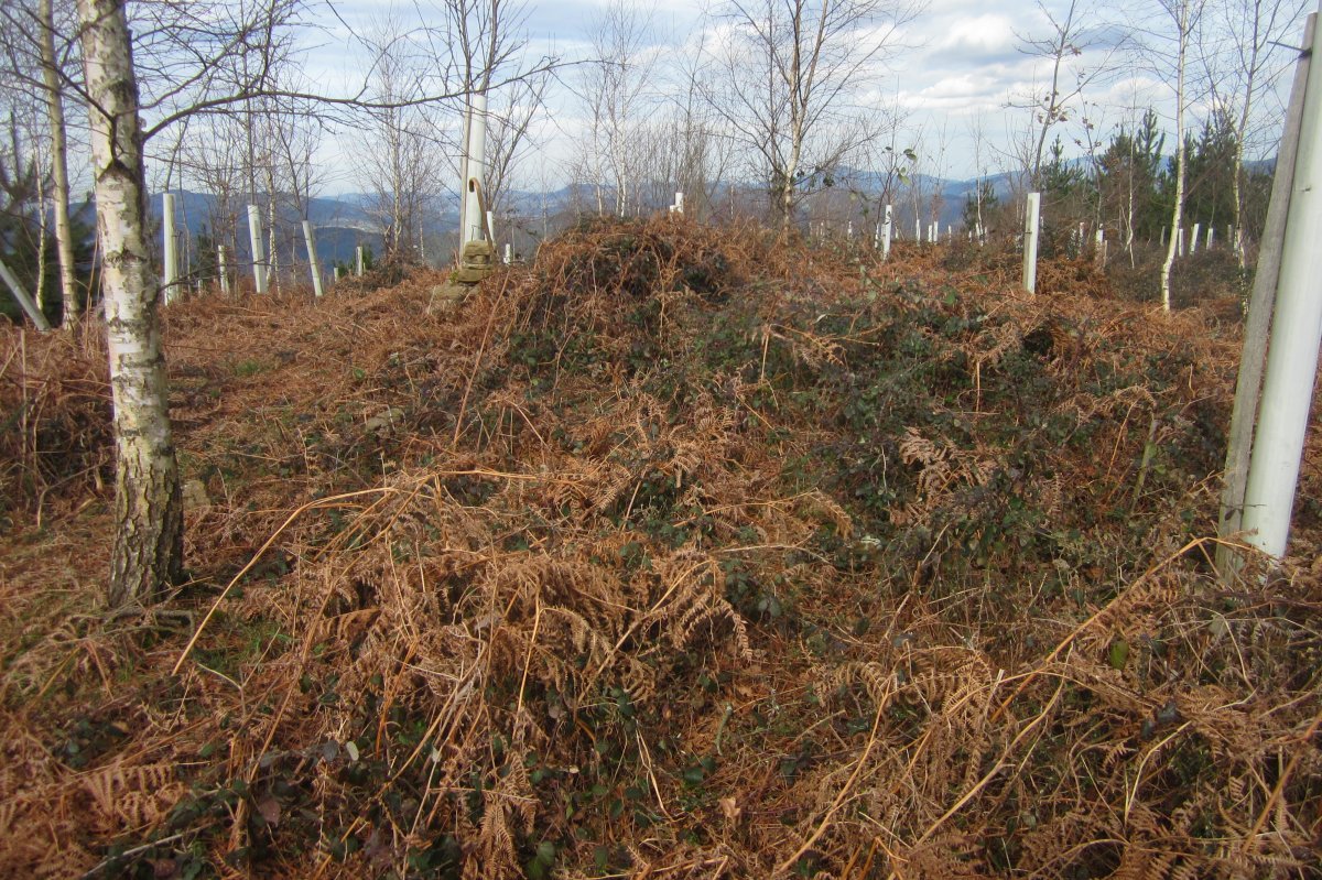 Túmulo Pagotxueta 2  (Febrero  2018)