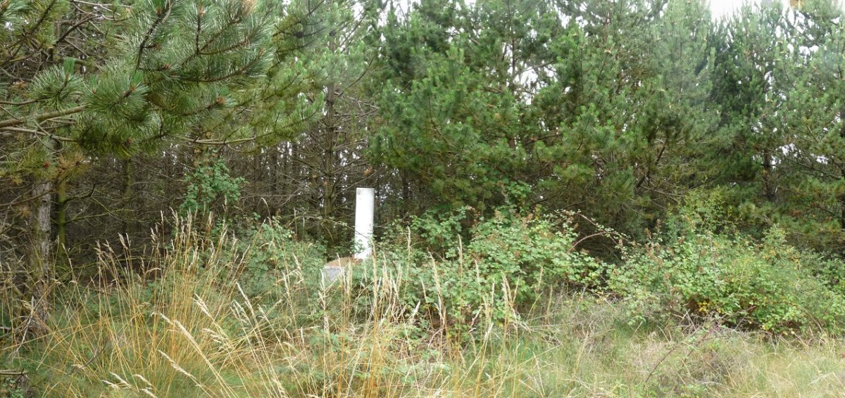 Erpin geodesikoa, basoak irentsia