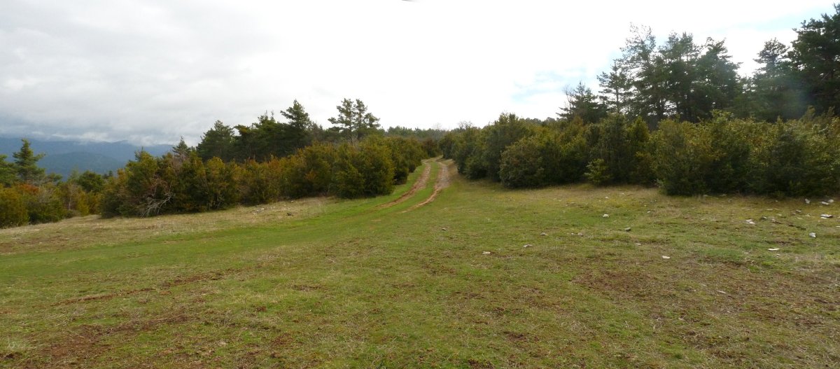 Bidea, larreetan barrena