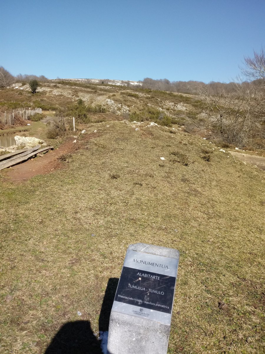 Alabitarte tumuloa (2018)