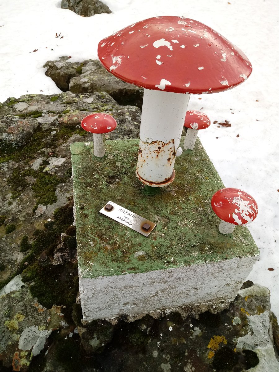 Artzanegi (1214m), postontzia, xehetasuna