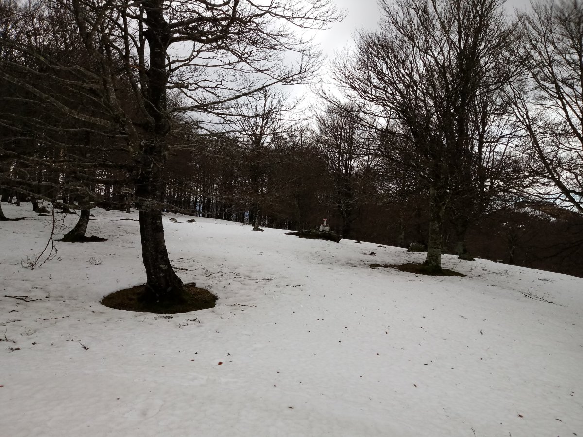 Artzanegi (1214m), gaina