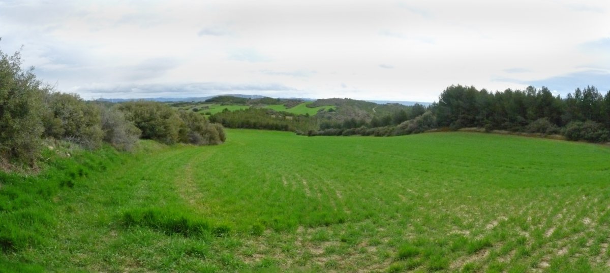 Soroak mugatik hurbil