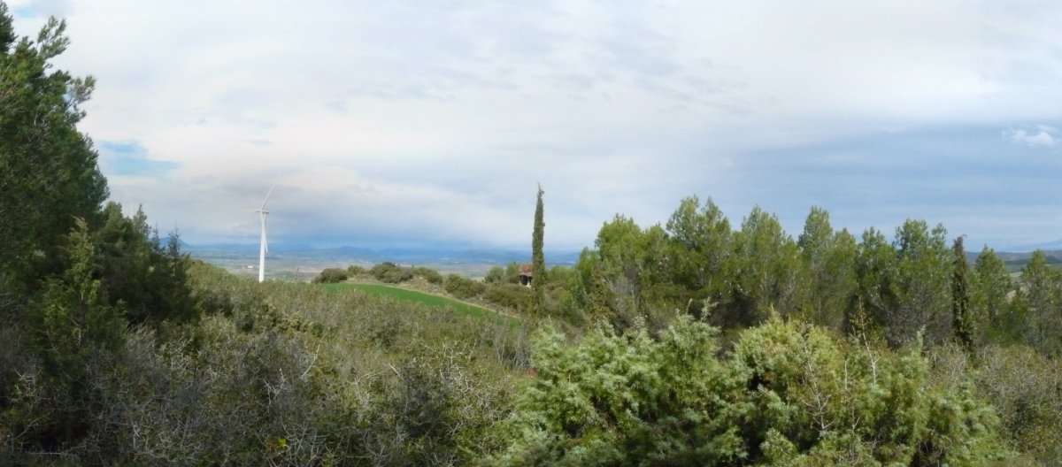 Panorama mugatua gailurretik