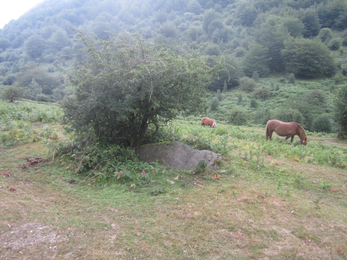 Monolito Naparbidea (08-2013)