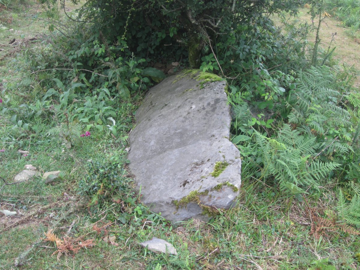 Monolito Naparbidea  (08-2013)