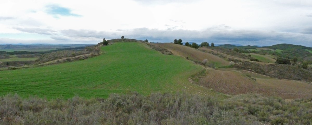 Punputiaingo gailurra, soroek estututa