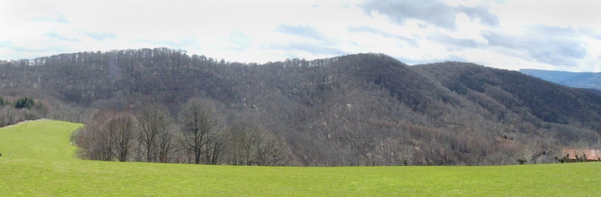 San Fermingo bizkarra, iparraldetik