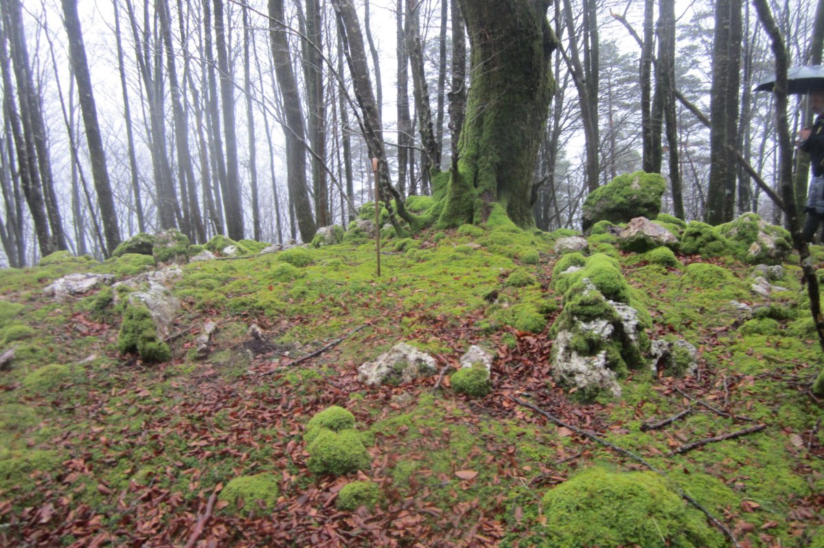 Cromlech Uzku  (Marzo 2018)