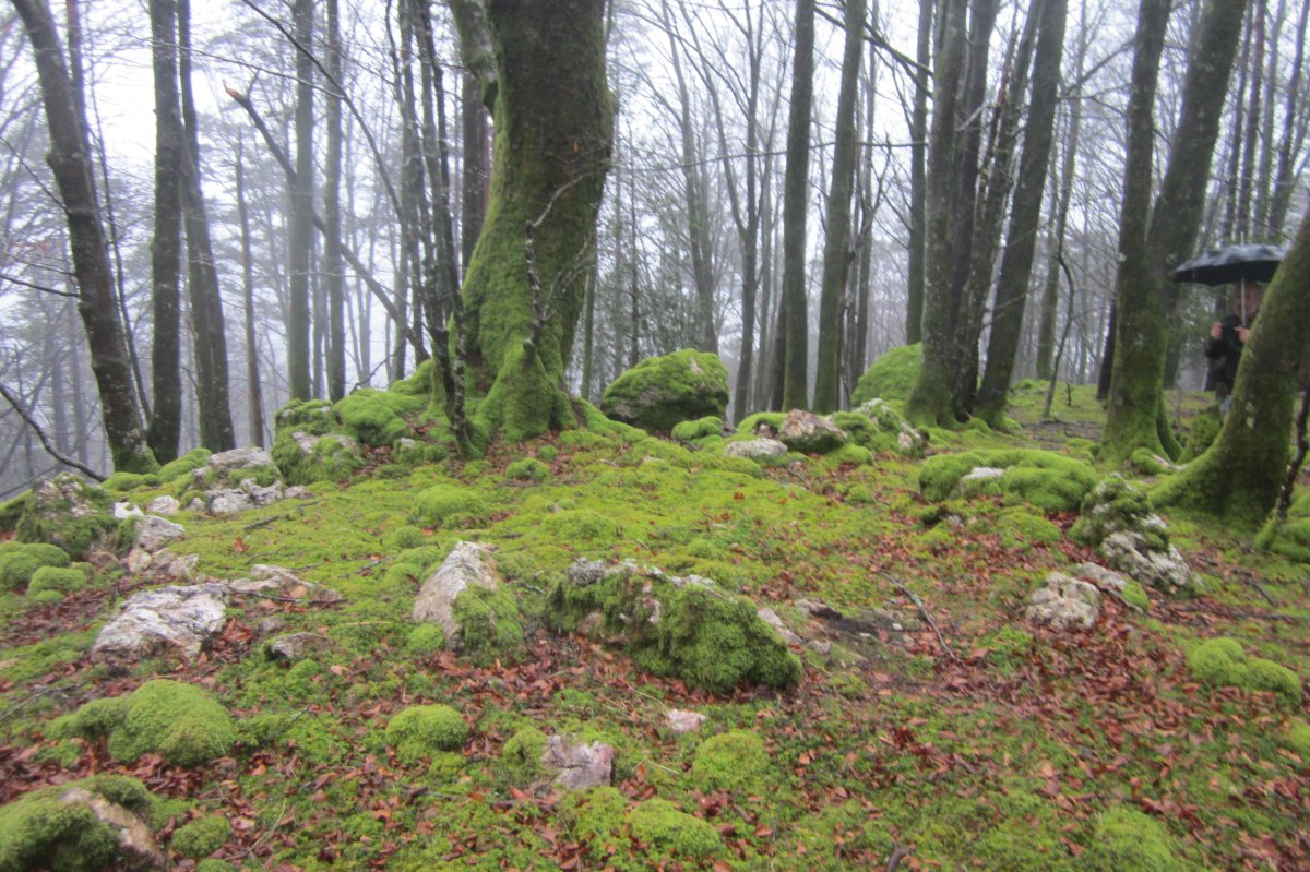 Cromlech Uzku  (Marzo 2018)