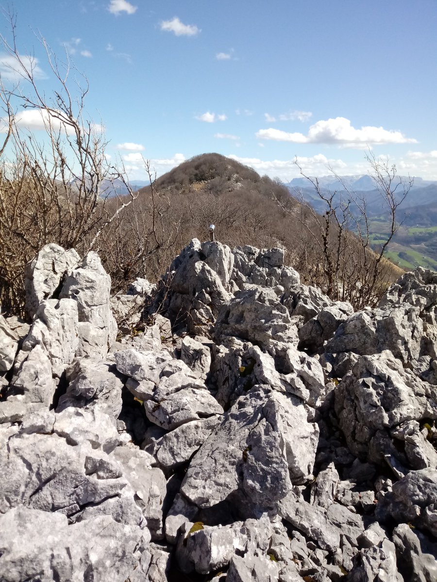 Putreaitza tontorra (887m)