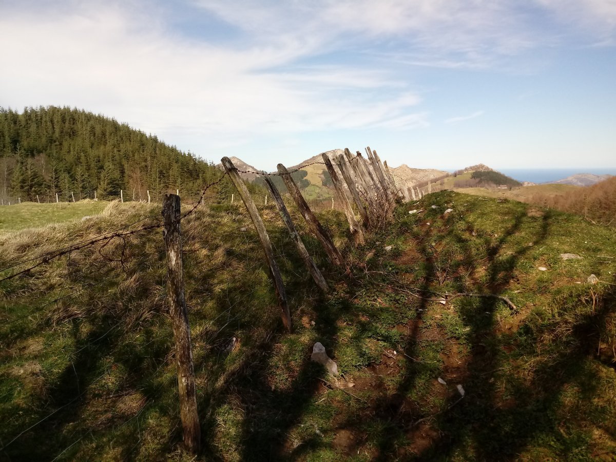 Marikutx II tumuloa 2