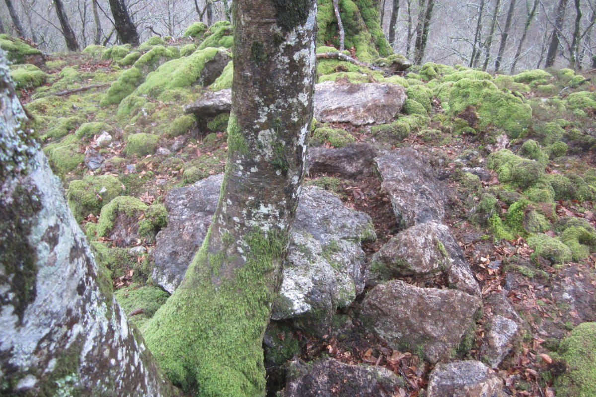 Dólmen Uzkuarrieta  (27-03 2018)