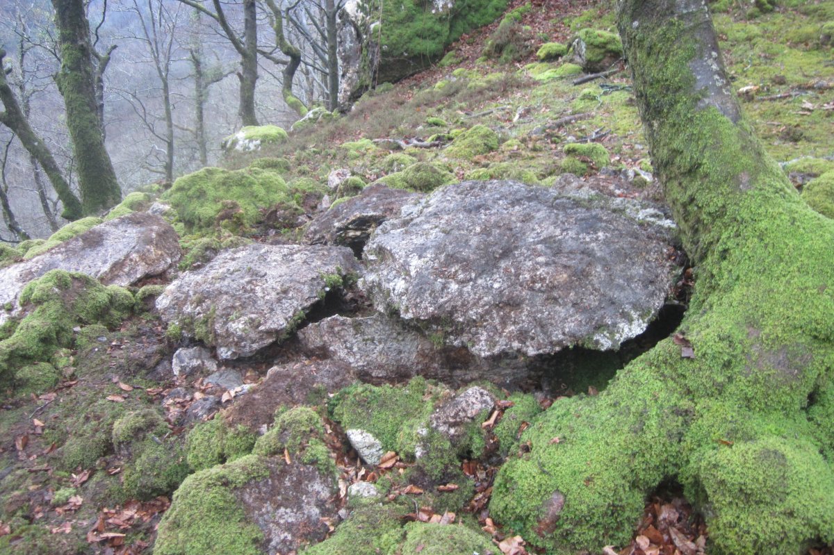 Dólmen Uzkuarrieta (27-03 2018)