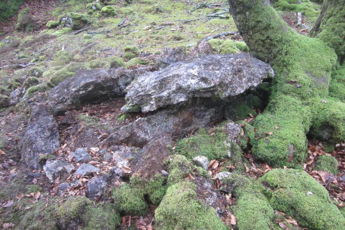 Dólmen Uzkuarrieta  (27-03 2018)