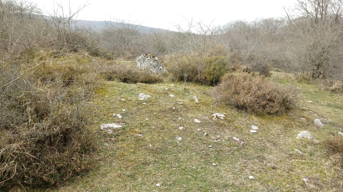 Lejazar (861m) tontorra eta trikuharria