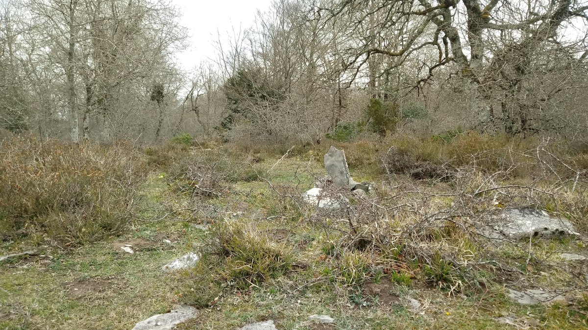 Garagartza gaina (873m)