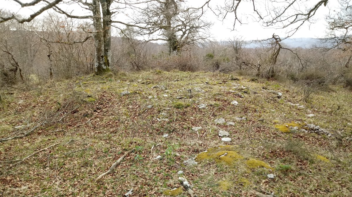 Las Esperas trikuharria 3