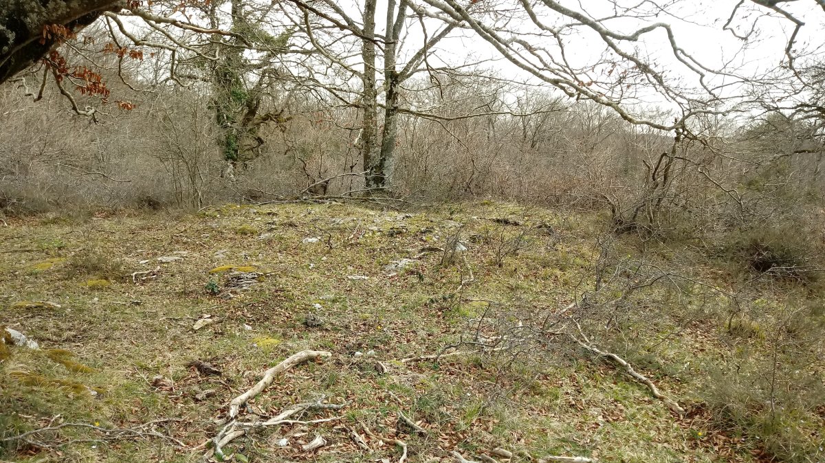 Las Esperas trikuharria (2018)