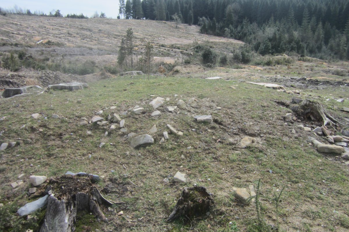 Dólmen Otsobaso  (Abril 2018)