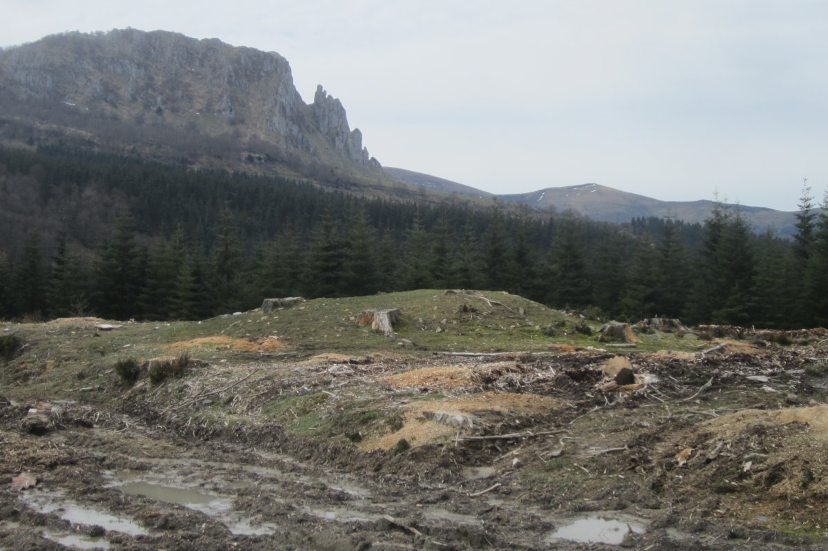 Dólmen Otsobaso  (Abril 2018)