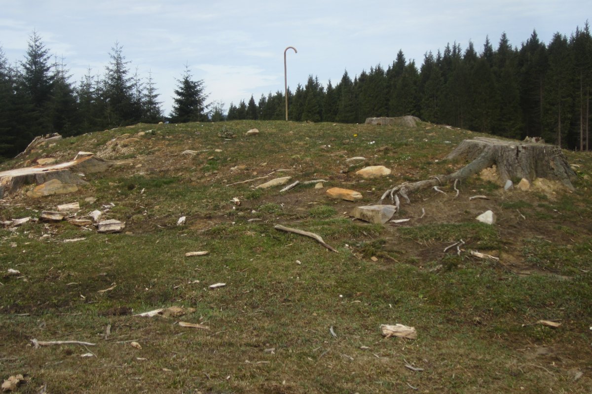 Dólmen Otsobaso  (Abril 2018)