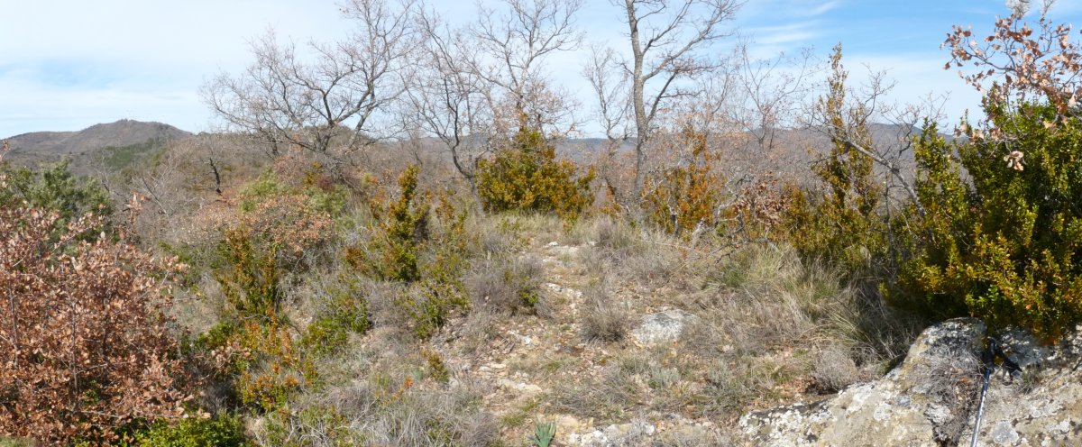 Tako geodesikoa mendebaldeko gailurrean